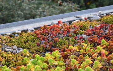 the cost of Pyewipe green roof installation
