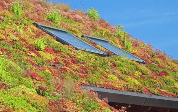 Pyewipe living roof systems