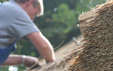 professional Pyewipe thatchers