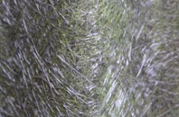 Pyewipe fibreglass roof work